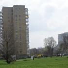 zdjęcie nr 12