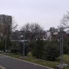 Fotka nr 2 z 6