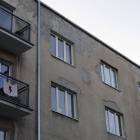 zdjęcie nr 8