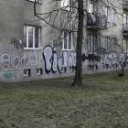 zdjęcie nr 7