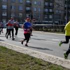 zdjęcie nr 84