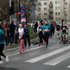 zdjęcie nr 217