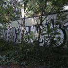 Fotka nr 1 z 4