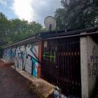 Fotka nr 2 z 17