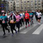 zdjęcie nr 173