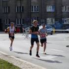 zdjęcie nr 13