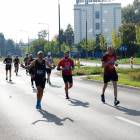 zdjęcie nr 243