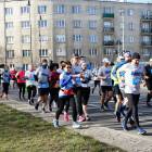 zdjęcie nr 270