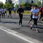 zdjęcie nr 156