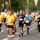 zdjęcie nr 245