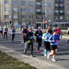 zdjęcie nr 306