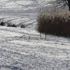 zdjęcie nr 9