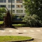 zdjęcie nr 43