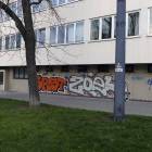 Fotka nr 3 z 8