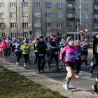 zdjęcie nr 303