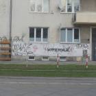 Fotka nr 5 z 18