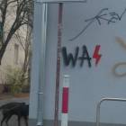 zdjęcie nr 10
