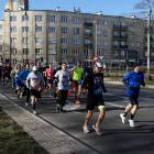zdjęcie nr 72