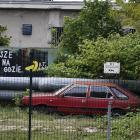 Fotka nr 1 z 2