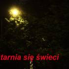 Fotka nr 1 z 5