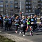 zdjęcie nr 311