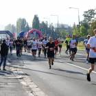 zdjęcie nr 120