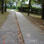 zdjęcie nr 79