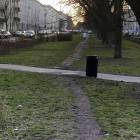 Fotka nr 3 z 4