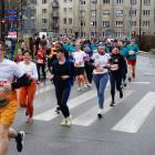 zdjęcie nr 115