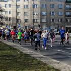 zdjęcie nr 301