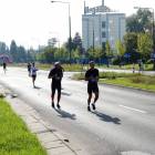 zdjęcie nr 253