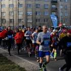 zdjęcie nr 161