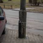 Fotka nr 1 z 5