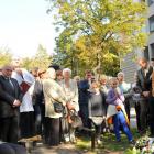 zdjęcie nr 29