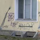 Fotka nr 4 z 5