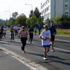 zdjęcie nr 168