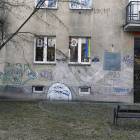 zdjęcie nr 10