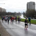 zdjęcie nr 137