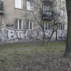 Fotka nr 4 z 17