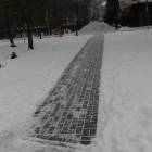 zdjęcie nr 7