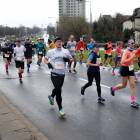 zdjęcie nr 194