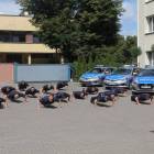 Fotka nr 1 z 3