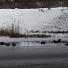 zdjęcie nr 21