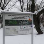 zdjęcie nr 11