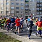 zdjęcie nr 300