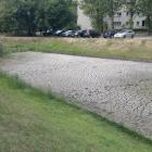 zdjęcie nr 8