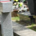 zdjęcie nr 22