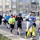 zdjęcie nr 331