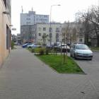 zdjęcie nr 8