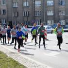 zdjęcie nr 53